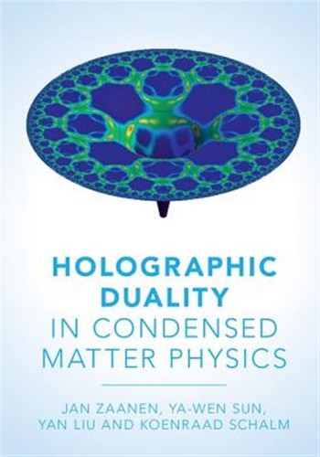 Holographic duality - holographic, in