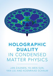 Holographic duality - holographic,