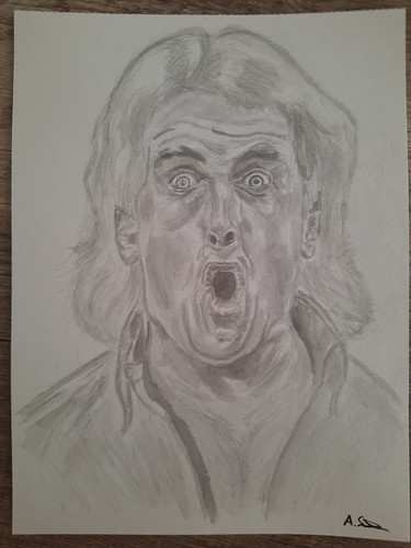 The nature boy ric flair - "the,